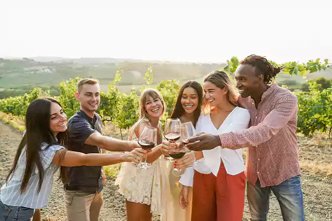 Wine Tours